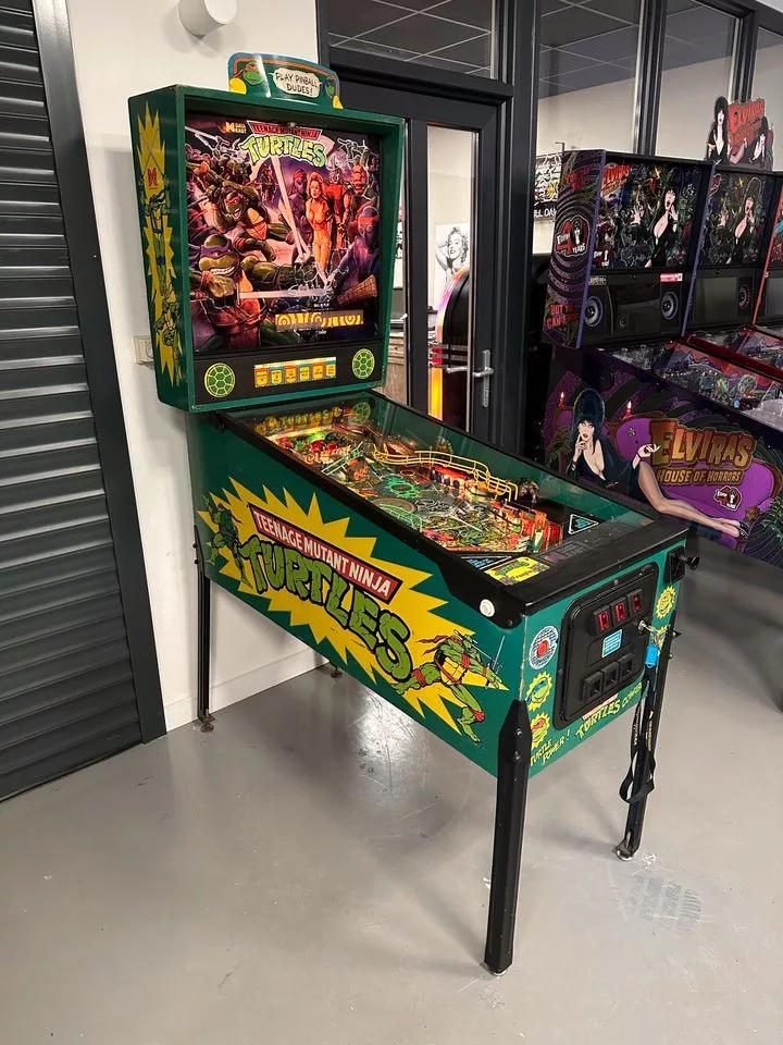 Teenage Mutant Ninja Turtles Pinball Machine