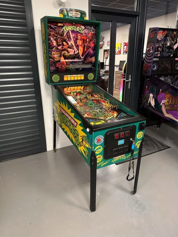 Teenage Mutant Ninja Turtles Pinball Machine
